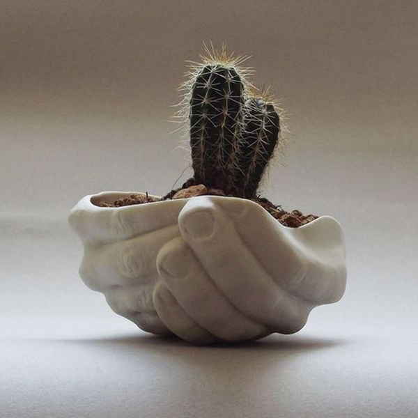 Monstera Deliciosa in a plain pot