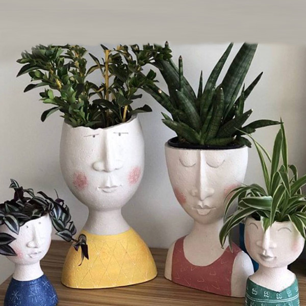 Monstera Deliciosa in a plain pot
