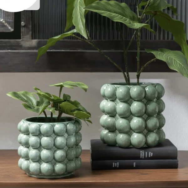 Monstera Deliciosa in a plain pot