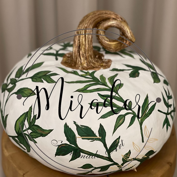 Monstera Deliciosa in a plain pot