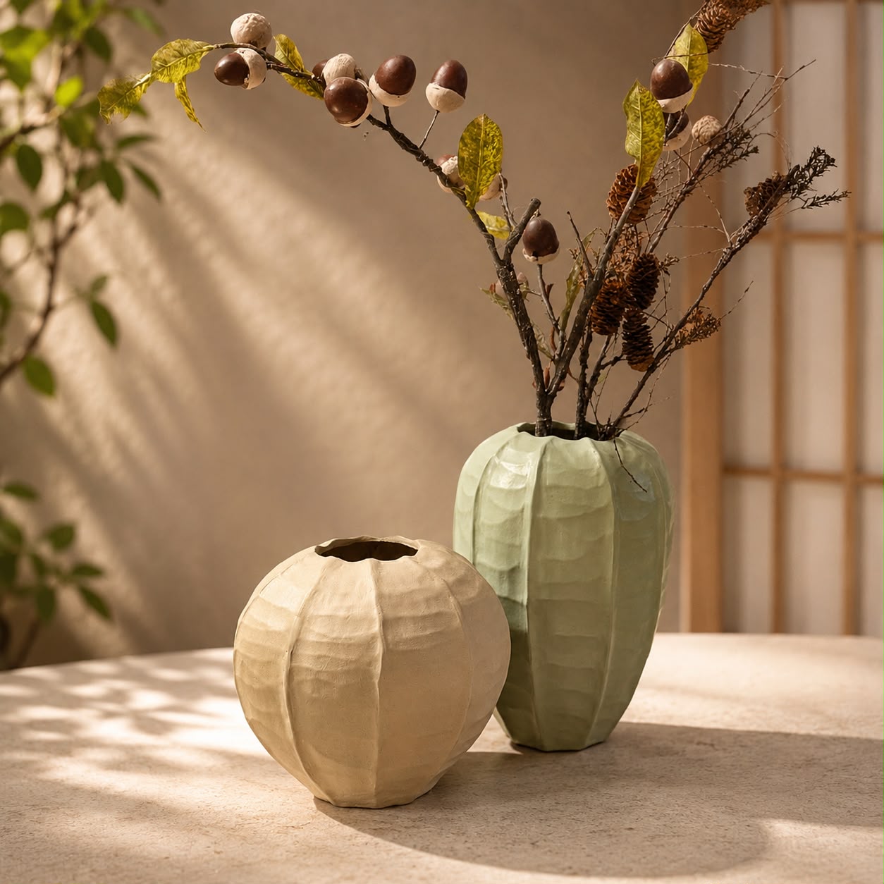 Monstera Deliciosa in a plain pot