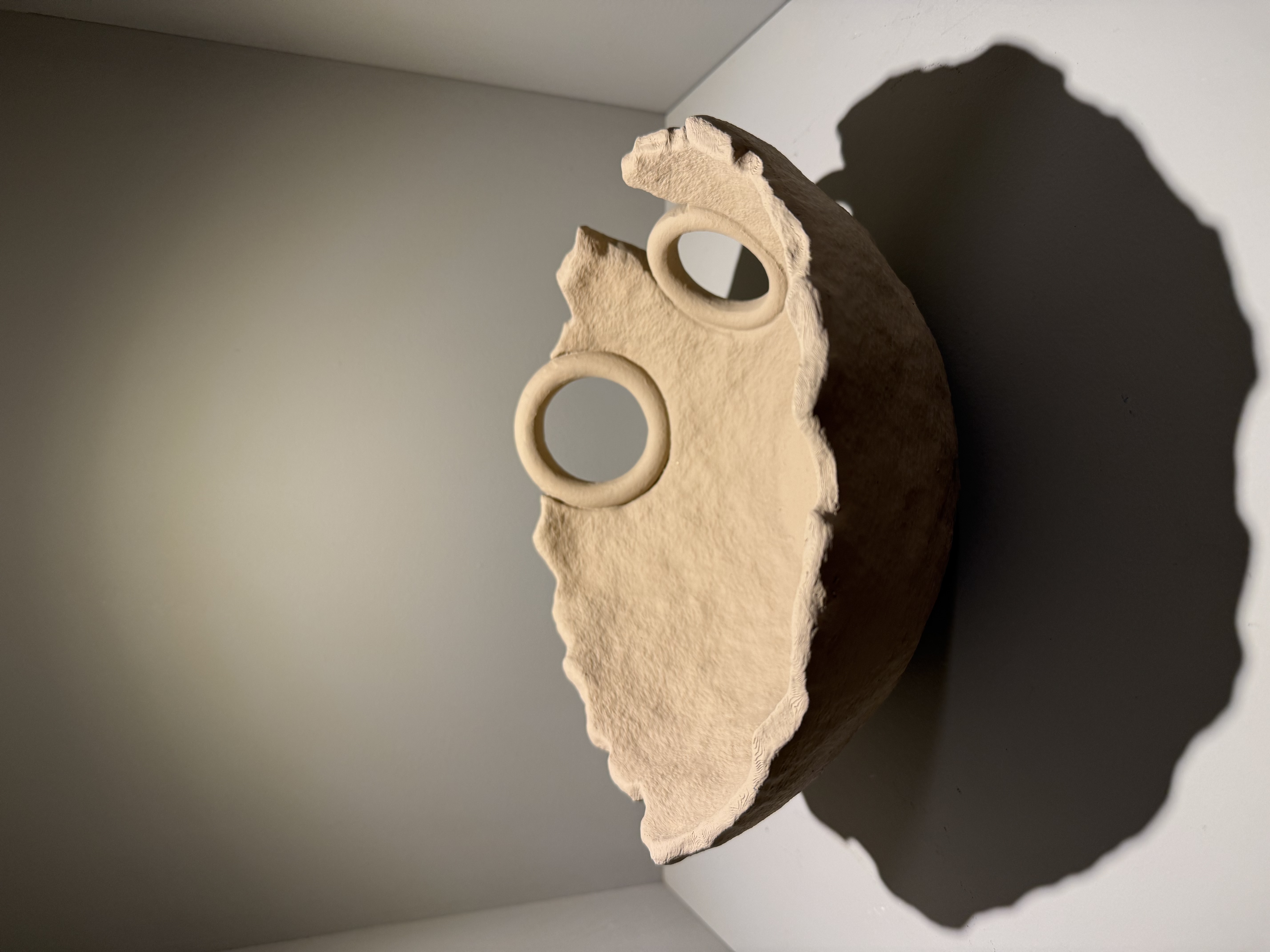 کاسه حلقه ای